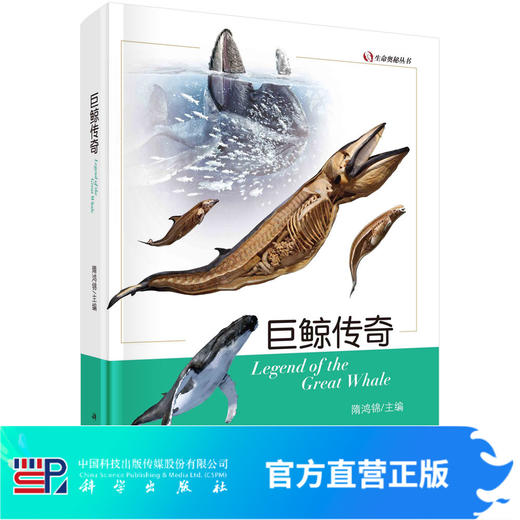 巨鲸传奇/隋鸿锦 商品图0