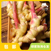 生态小黄姜仔姜 | 绿家自产* Organic ginger  | Self-production 商品缩略图0