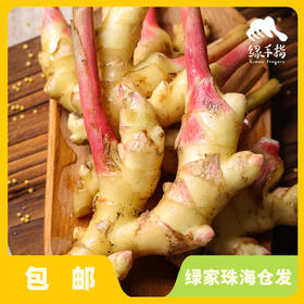 生态小黄姜仔姜 | 绿家自产* Organic ginger  | Self-production