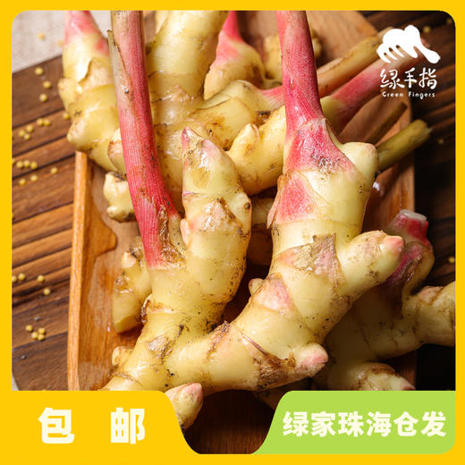 生态小黄姜仔姜 | 绿家自产* Organic ginger  | Self-production 商品图0