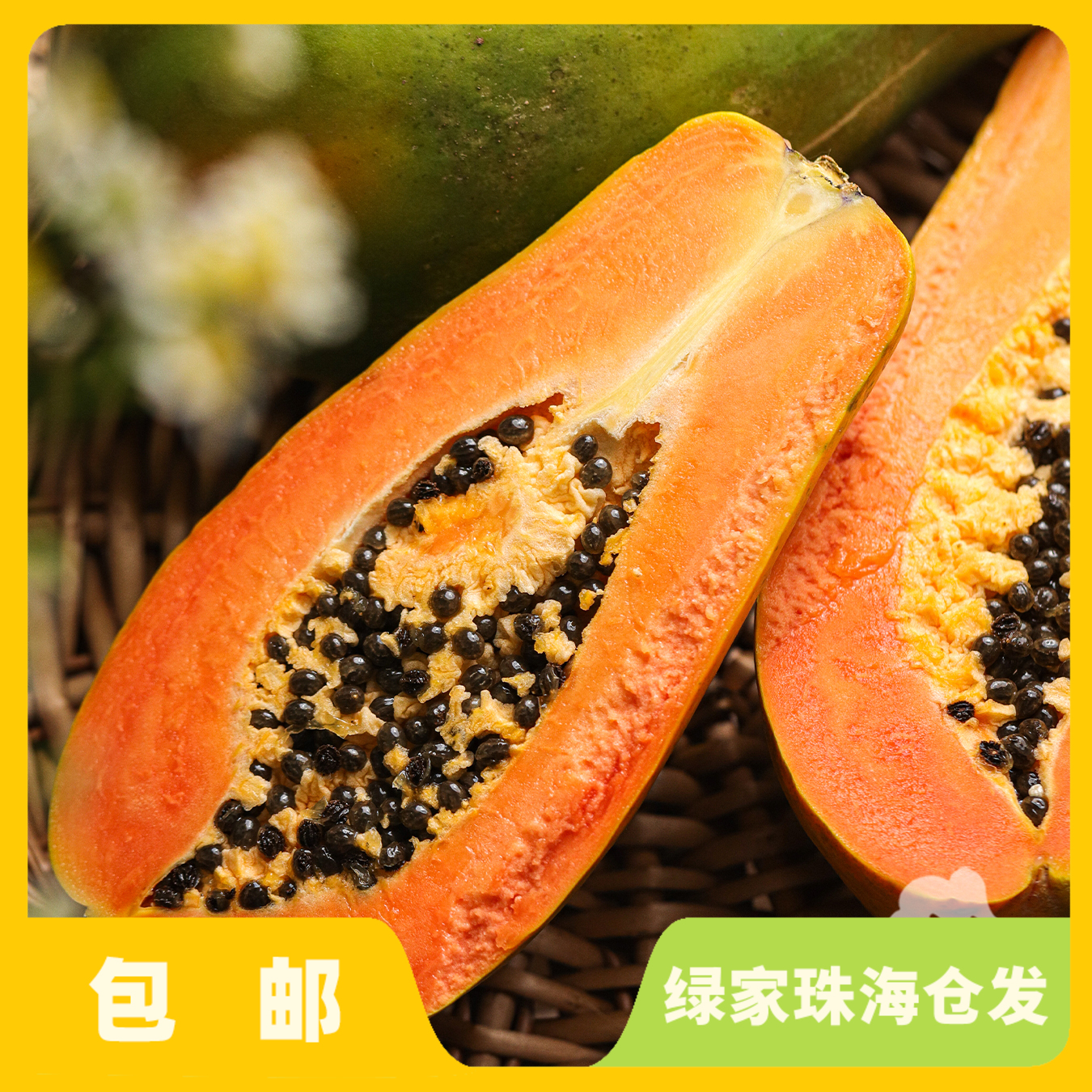 生态木瓜 | 绿家自产* Eco-papaya | Self-production