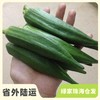 生态秋葵 | 绿家自产 * Ecological Lady Fingers |Self-production| 商品缩略图0