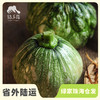 生态小南瓜 | 绿家自产*Eco-small pumpkin | Self-production 商品缩略图0