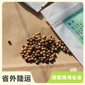 种子·香菜 | 公平贸易 * Cilantro seeds | Fair Trade Items