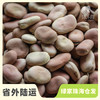 生态干蚕豆| 合作生产*Ecological dried broad beans| Coproducted 商品缩略图0