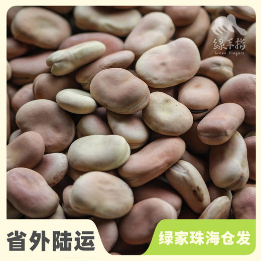 生态干蚕豆| 合作生产*Ecological dried broad beans| Coproducted 商品图0