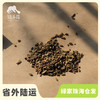 种子·彩色胡萝卜 | 公平贸易 * Carrot seeds | Fair Trade Items 商品缩略图0