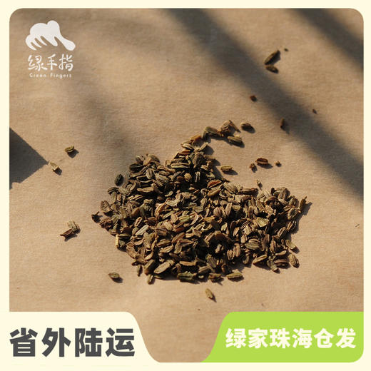 种子·彩色胡萝卜 | 公平贸易 * Carrot seeds | Fair Trade Items 商品图0