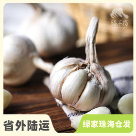 生态干大蒜 | 合作生产* Eco- onion | Coproduction