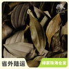 生态香桂叶 | 合作生产 * Eco-Cinnamomum cassia leaves  | Coproduction 商品缩略图0