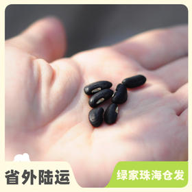 种子·豆角 | 公平贸易 * Carob seeds | Fair Trade Items