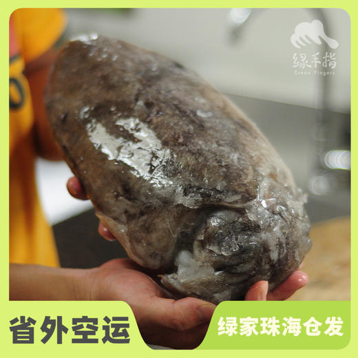 野生东山岛墨鱼 | 合作生产 * Wild- cuttlefish | Coproduction 商品图0