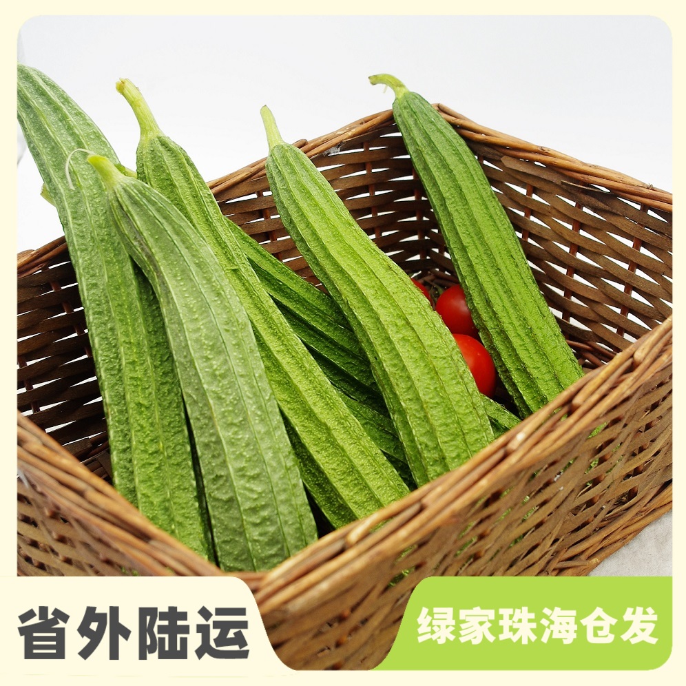 生态丝瓜 | 绿家自产*ecological towel gourd | Self-production