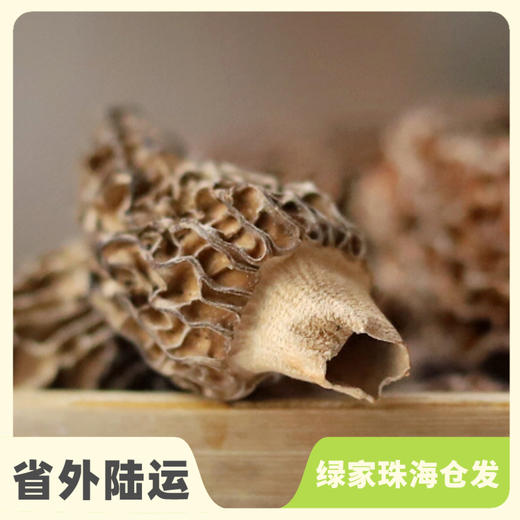 野生羊肚菌干 | 合作生产 * Wild  Dry  toadstool | Coproduction 商品图0