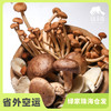 生态蘑菇份额 | 绿家自产* Share of ecological miscellaneous Mushroom | In-House Production 商品缩略图0