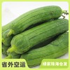 生态水瓜 | 绿家自产*Eco-water melon | Self-production 商品缩略图0