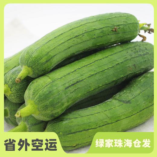 生态水瓜 | 绿家自产*Eco-water melon | Self-production 商品图0