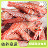 野生东山岛海虾| 合作生产 * Wild Dongshan Island Shrimps | Coproduction 商品缩略图0