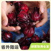 生态鲜洛神花 | 绿家自产*Ecological roselle | Self-production 商品缩略图0