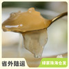 即食有机段木银耳羹份额 | 绿家自产 *Eco-White fungus broth | Self-production 商品缩略图0