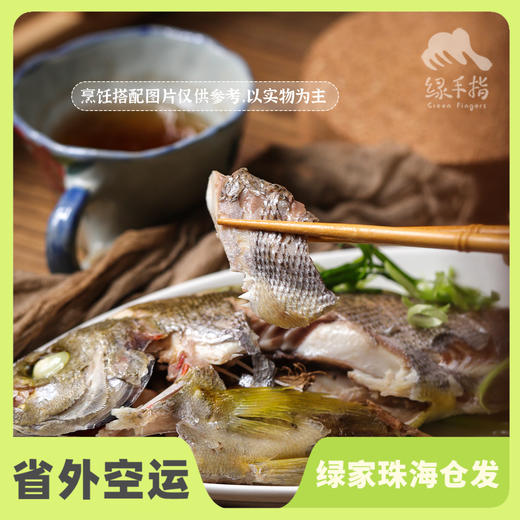 野生东山岛黄鸡鱼 | 合作生产 * Wild Dongshan Island Yellow chicken fish | Coproduction 商品图0