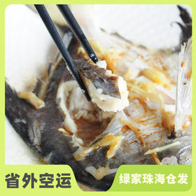 野生东山岛白鲳鱼 | 合作生产 * Wild Dongshan Island seafood | Coproduction