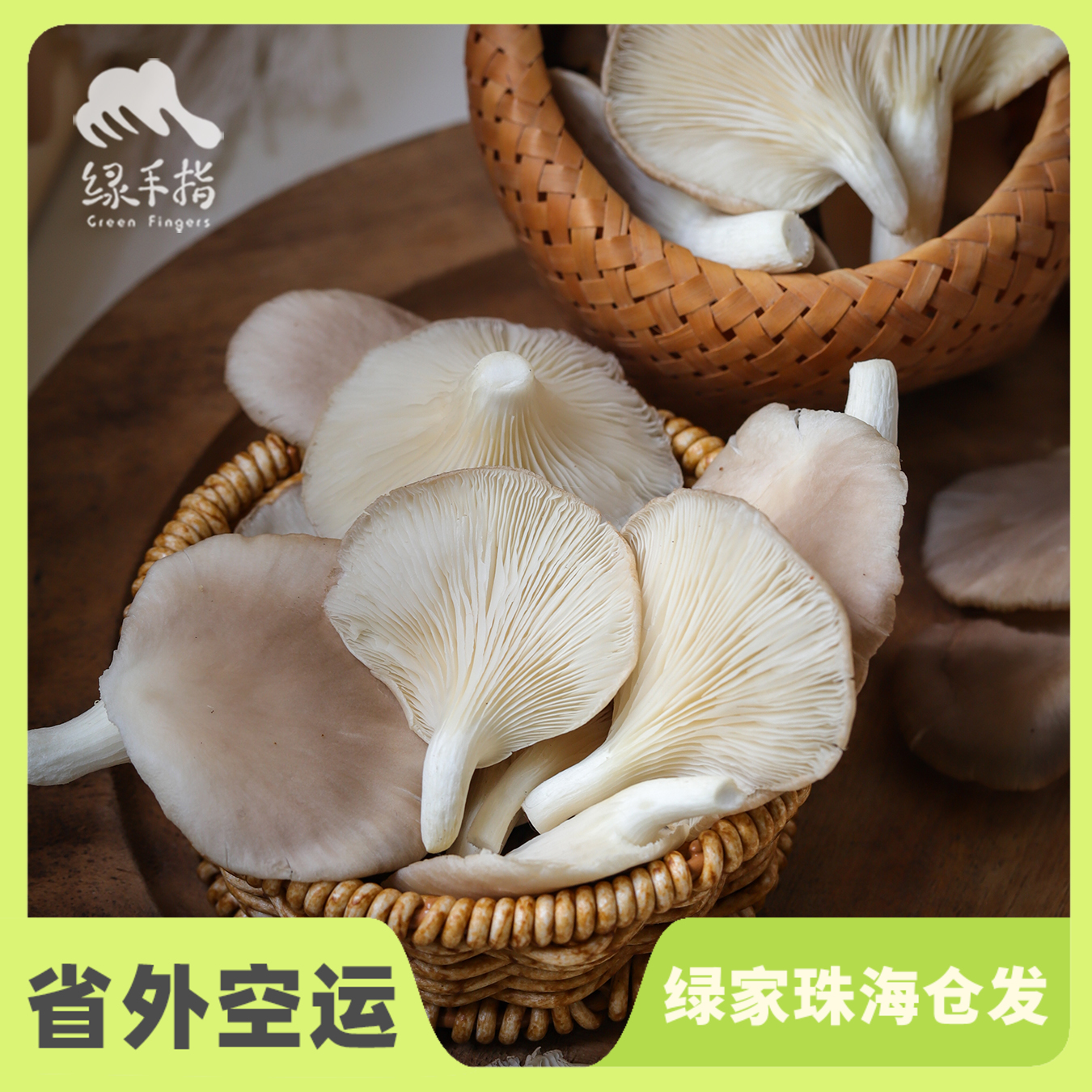 有机平菇 | 绿家自产* Organic Oyster mushroom | Self-production