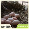 生态初生鸡蛋份额 | 绿家自产* Share of Eco- primary egg | In-House Production 商品缩略图0