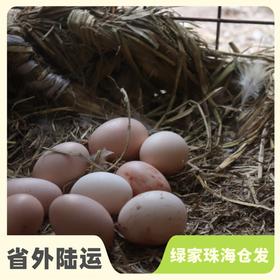 生态初生鸡蛋份额 | 绿家自产* Share of Eco- primary egg | In-House Production