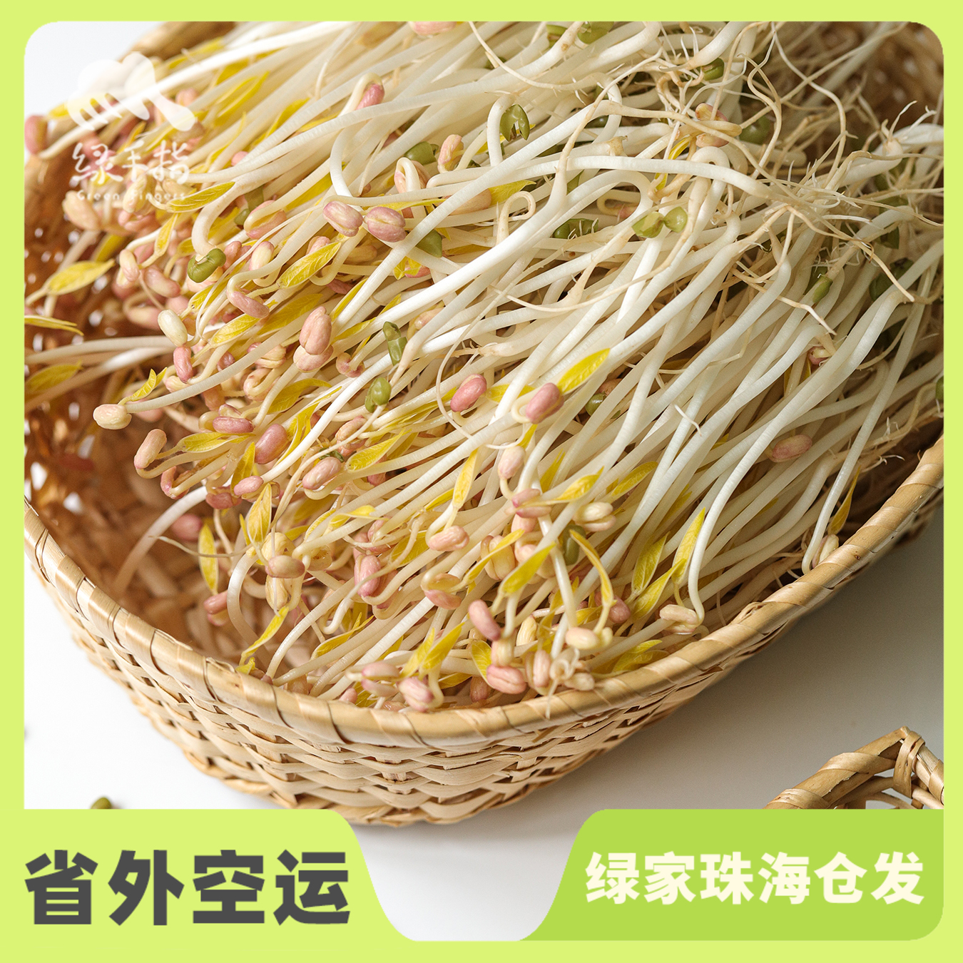 生态绿豆芽 | 绿家自产* Eco- mung bean sprouts | Self-production