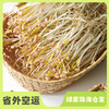 生态绿豆芽 | 绿家自产* Eco- mung bean sprouts | Self-production 商品缩略图0