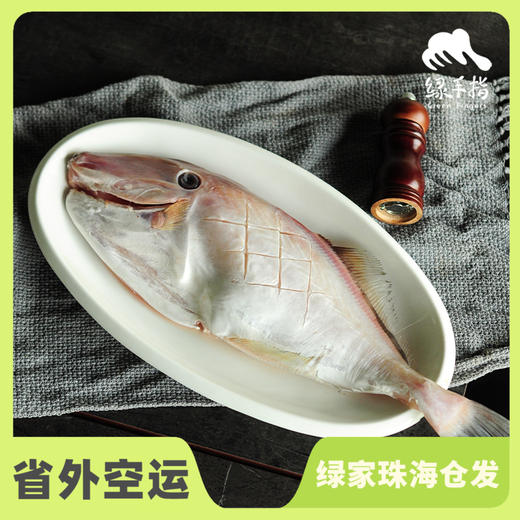 野生东山岛剥皮鱼 | 合作生产 * Wild Dongshan Island seafood | Coproduction 商品图0