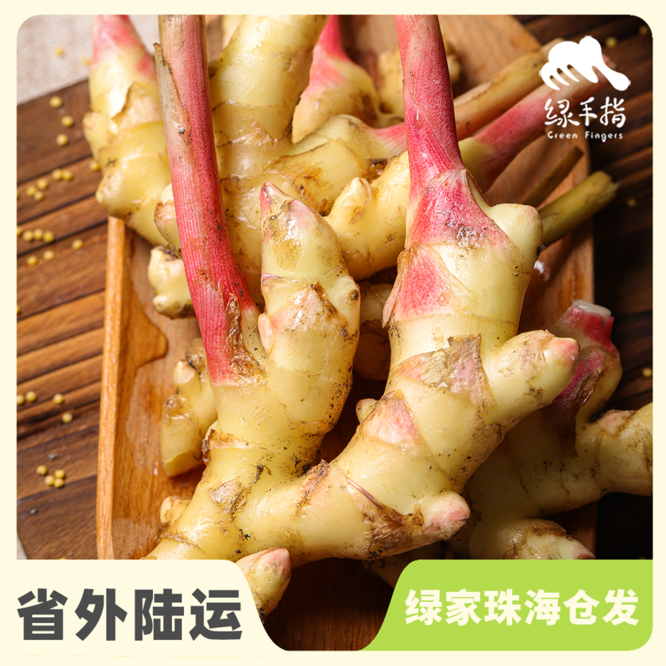 生态小黄姜仔姜 | 绿家自产* Organic ginger  | Self-production