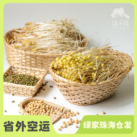 生态豆芽份额 | 绿家自产* share of ecological mung bean sprouts | In-House Production