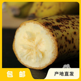 生态香蕉 | 合作生产 * Eco-banana | Coproduction