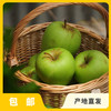 生态青苹果（中通快递） | 合作生产 *Ecological green apple | Partner Production 商品缩略图0