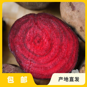 生态甜菜根（大理，中通快递） |合作生产*Ecological Beetroot| Coproduction