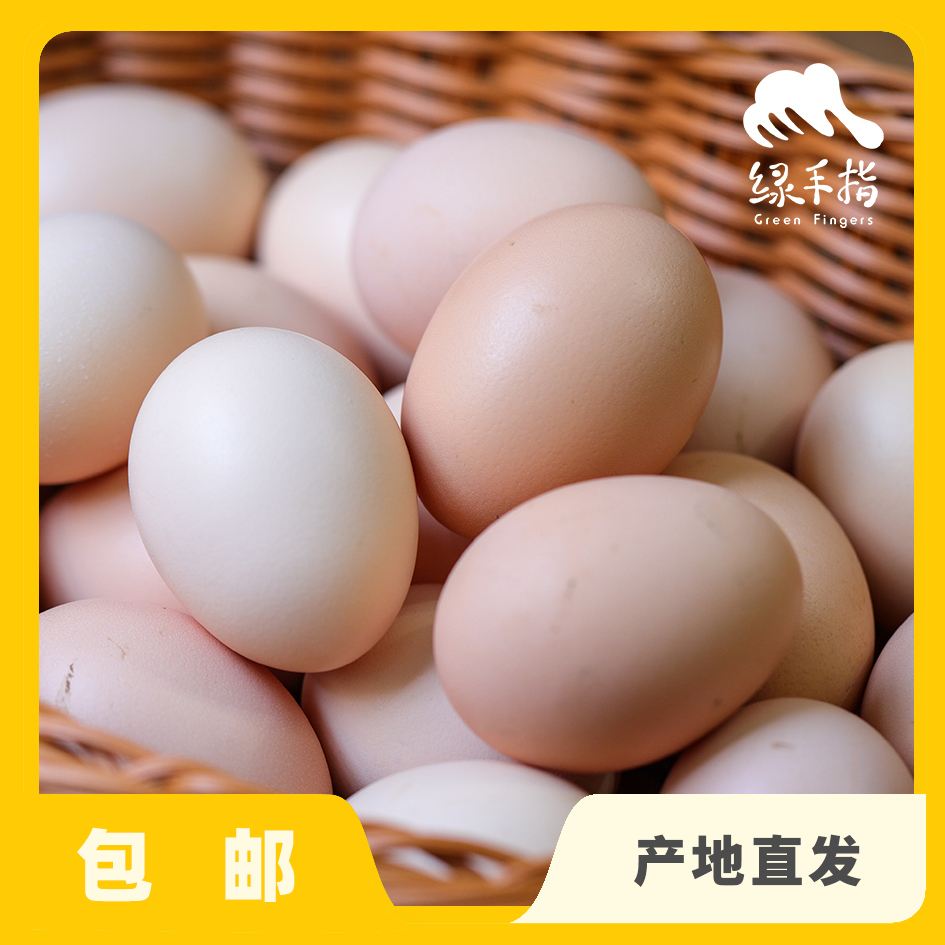 生态河北鸡蛋  | 合作生产 * Ecological Eggs | Coproduction