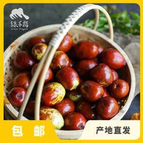 生态鲜枣 | 合作生产* Eco-fresh jujube | Copruduction