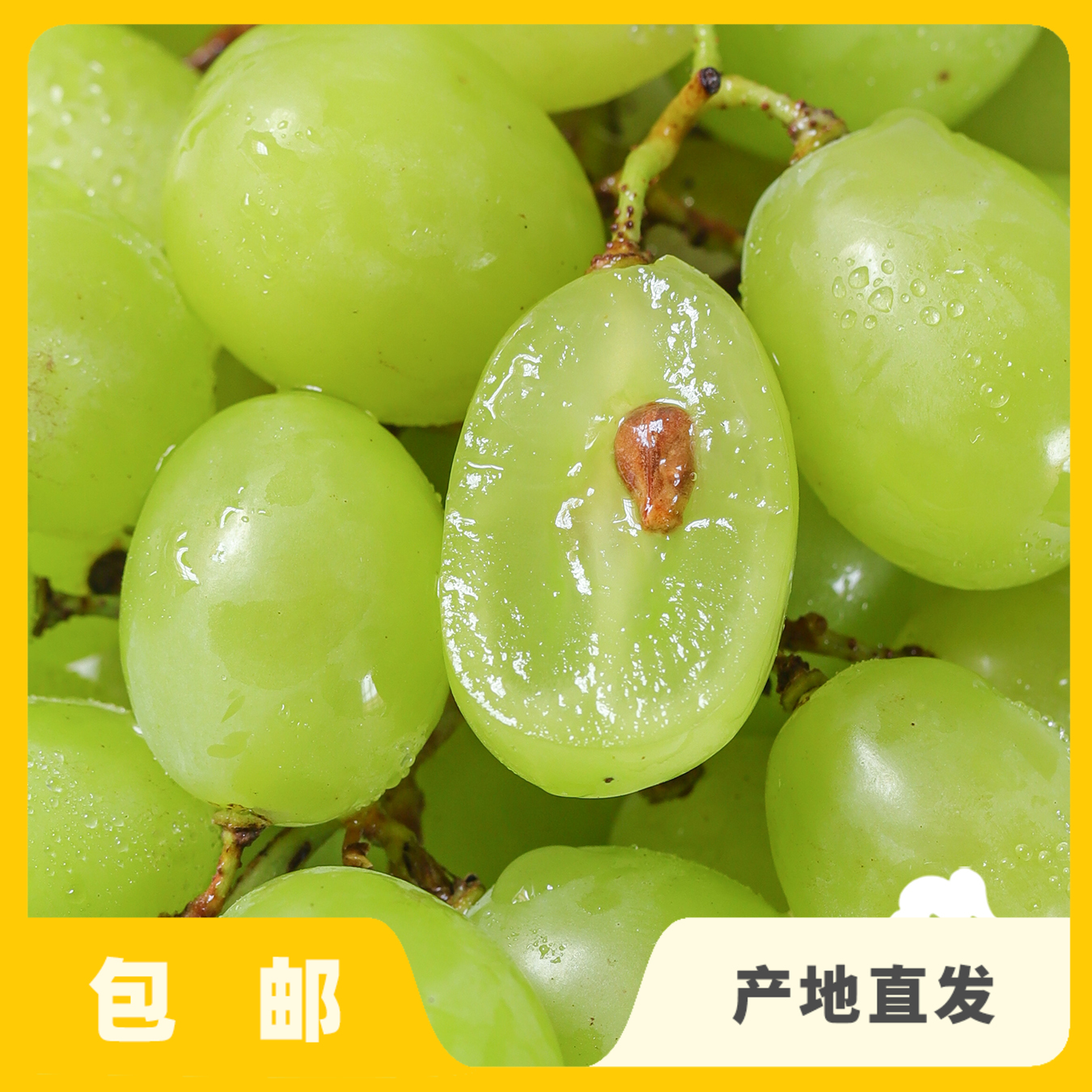 生态阳光玫瑰葡萄  | 合作生产 * Ecological Grapes（Sunshine rose） | Coproduction