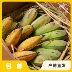 生态粉蕉 | 合作生产 *Eco-Dwarf banana | Coproduction