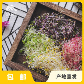 生态组合芽苗菜（送胡萝卜） | 公平贸易*Organic combined sprouts | Fair-trade