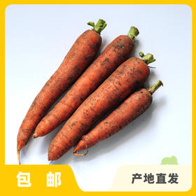 生态胡萝卜（河北） | 合作生产*Eco-carrot | Coproduction