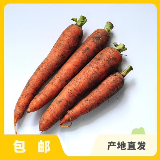 生态胡萝卜（河北） | 合作生产*Eco-carrot | Coproduction 商品图0