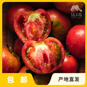 有机草莓西红柿（云南） | 合作生产*Eco- tomato | Coprodution