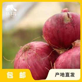 生态洋葱（河北） | 合作生产* Eco- onion | Coproduction