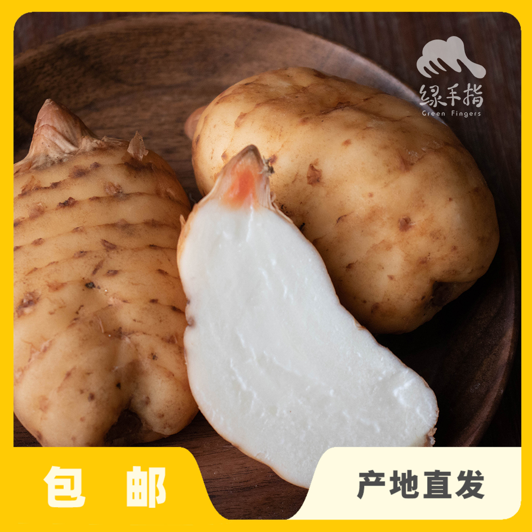 生态鲜天麻| 合作生产* Eco-fresh Tall Gastrodia Tuber