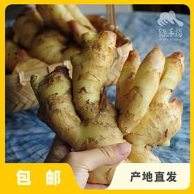 生态蟠桃大姜 | 合作生产*Eco-Pantao Ginger | Coproduction