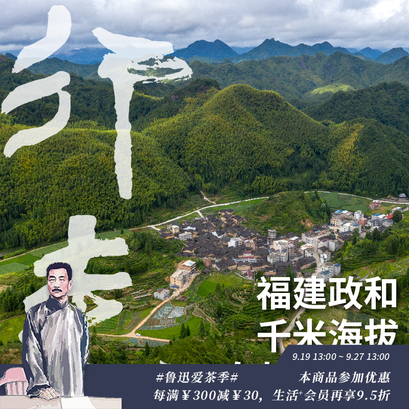 政和白茶白牡丹 2024谷雨采摘千米海拔高山茶青 500克量贩装（三联生活爱茶推荐）