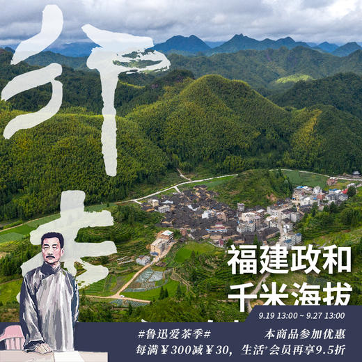 政和白茶白牡丹 2024谷雨采摘千米海拔高山茶青 500克量贩装（三联生活爱茶推荐） 商品图0